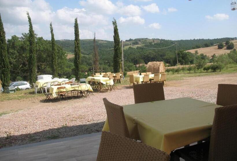 Апартаменты 1 Спальня, Agriturismo La Steccaia Alta