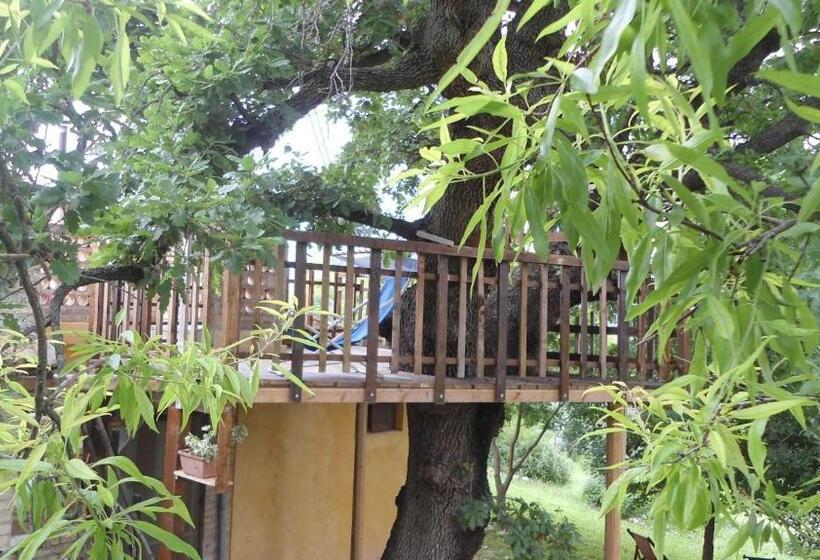 Апартаменты 1 Спальня с Террасой, Agriturismo Via Del Campo