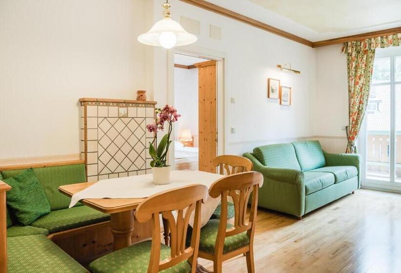 Апартаменты 1 Спальня, Naturresidence Dolomitenhof