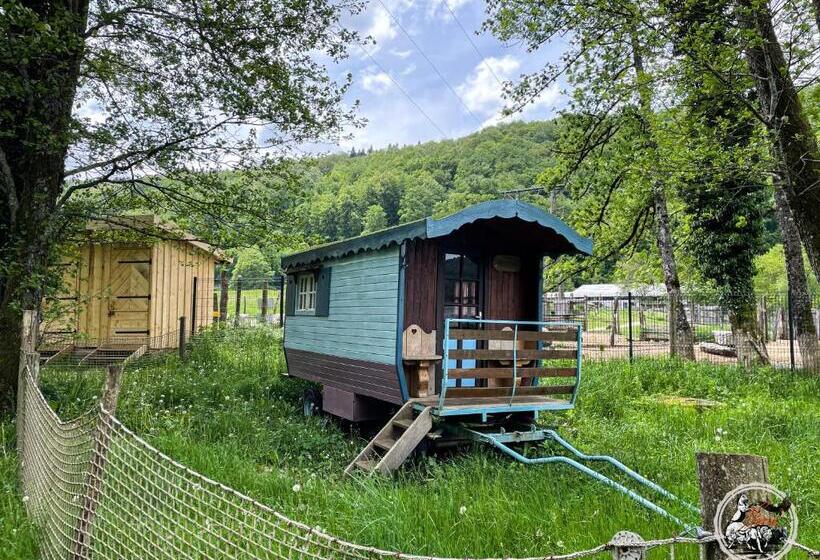 Номер Стандарт, Parc Animalier Du Hérisson