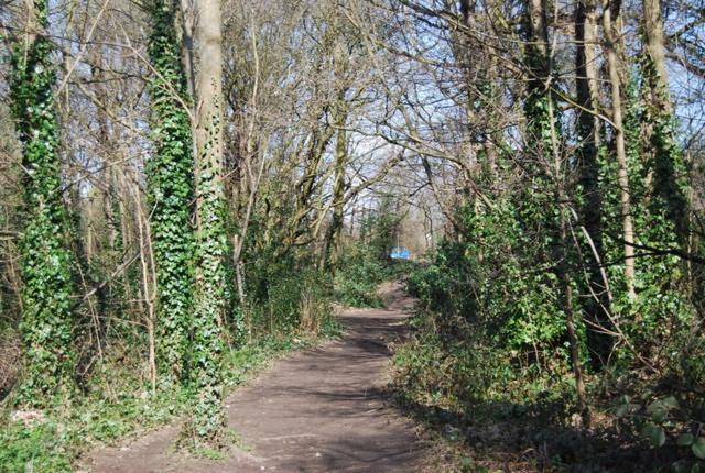 Одноместный Номер Вид на Сад, 118 Shepherds Lane