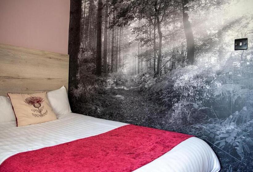 اتاق استاندارد یک نفره, Bridleways Guesthouse & Holiday Homes