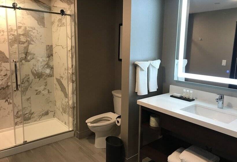 סוויטה, Embassy Suites By Hilton Plainfield Indianapolis Airport
