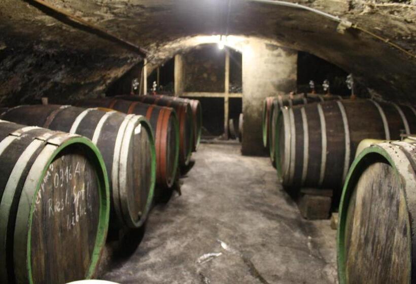带阳台的标准单人间, Weingut Stiftshof