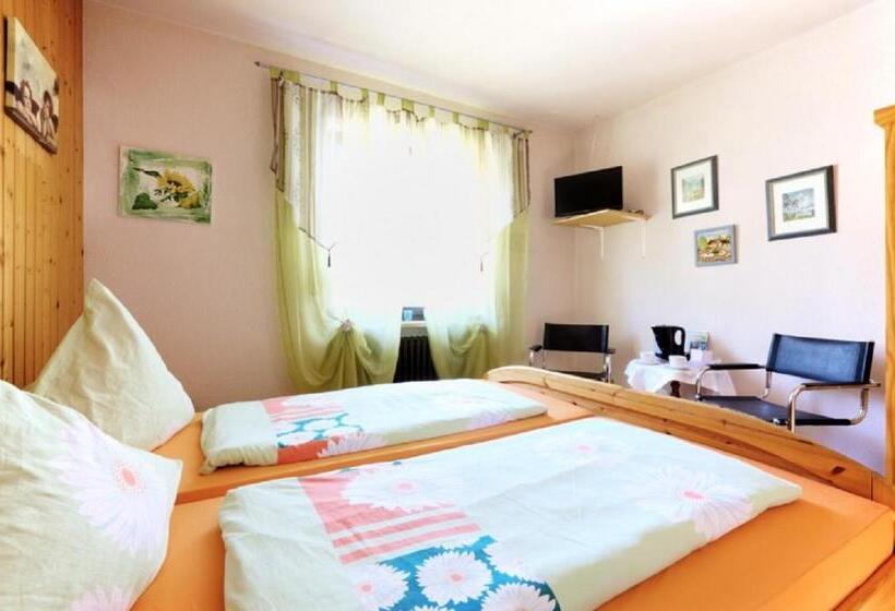 Номер Стандарт, Pension Merbald