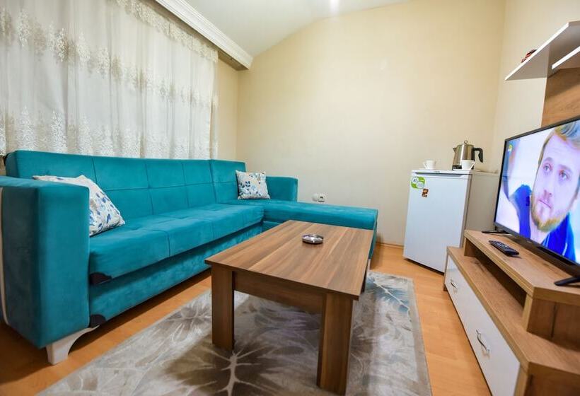 استودیوی استاندارد, My Guse Suite