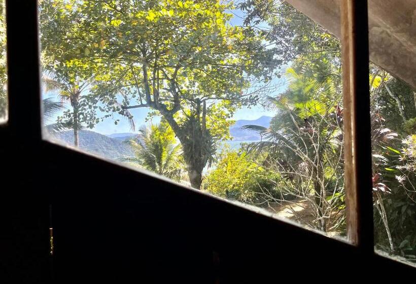 Номер Стандарт, Jungle Lodge