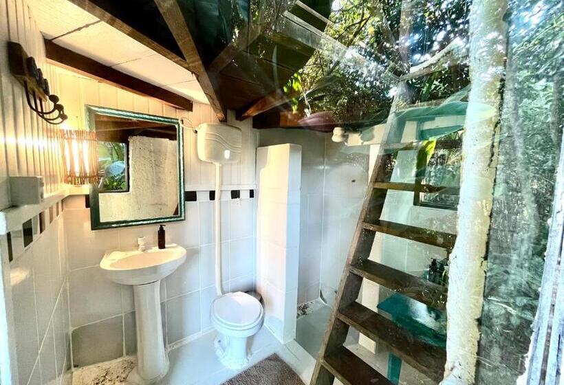 Бунгало Superior, Jungle Lodge