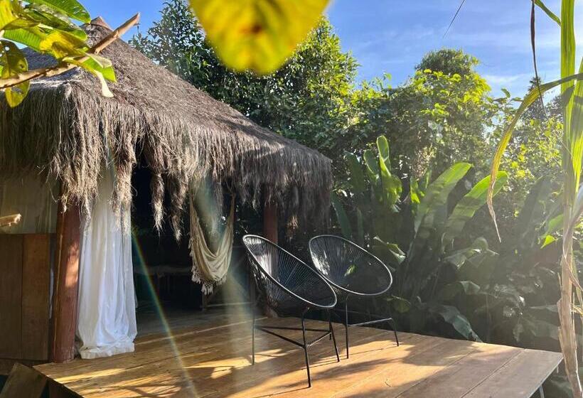 Бунгало Superior, Jungle Lodge