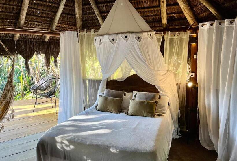 高级洋房, Jungle Lodge