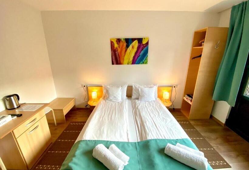 Номер Стандарт, Cristi S Rooms   Pensiune