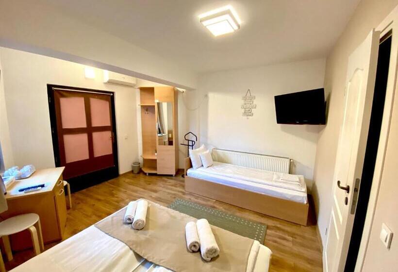 Номер Стандарт Трехместный, Cristi S Rooms   Pensiune