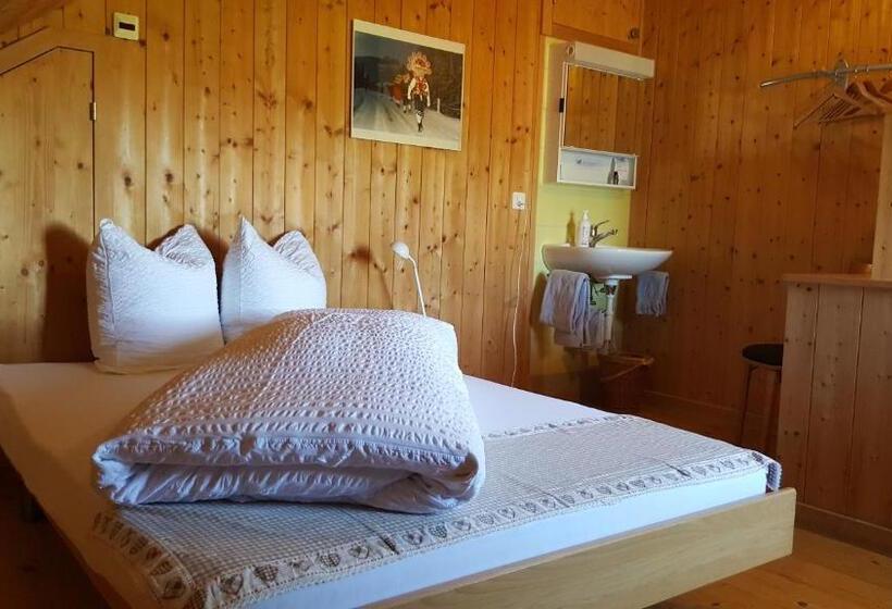 اتاق استاندارد یک نفره, Ferienhotel Idyll Gais