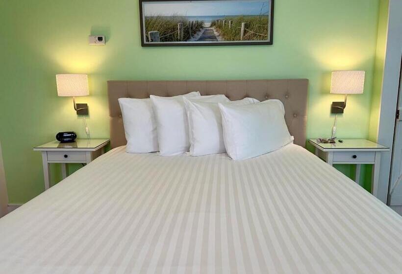 스탠다드 룸, Dragonfly Guest House