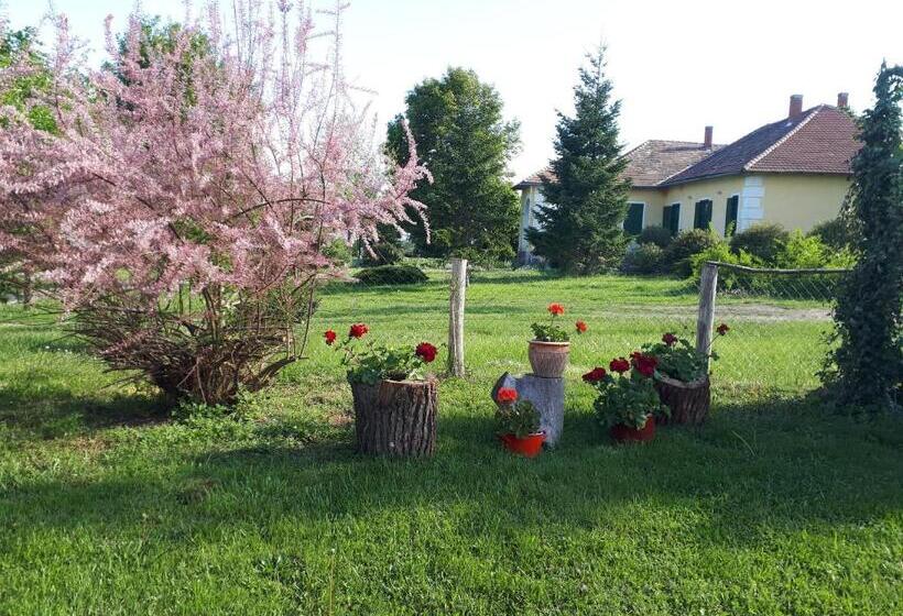 Quarto Triplo Estandar, Véndektanya Vendégház