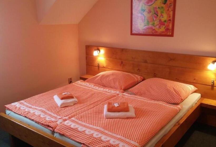标准间, Wellness Penzion Palice