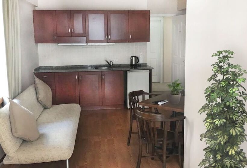 Apartamento 1 Dormitório, Kekik Apart Otel