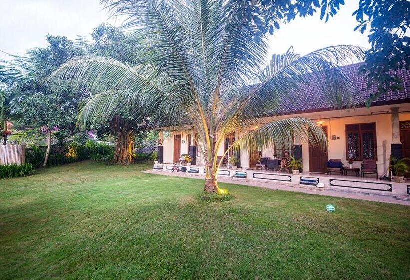 标准间带露台, The Bali Boarding House