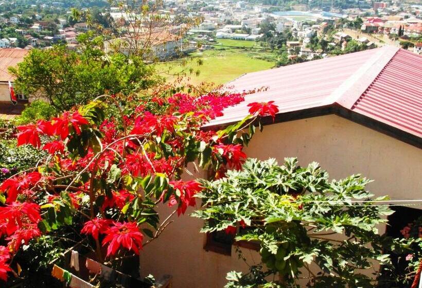 اتاق استاندارد با چشم‌انداز کوهستان, Three Palms Fianar