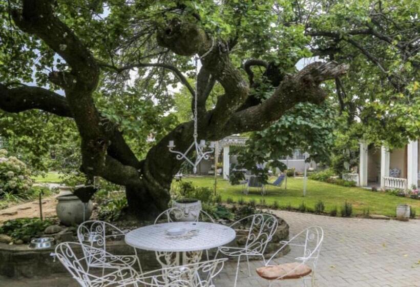 Номер Стандарт Вид на Сад, The Green Acorn Guest House