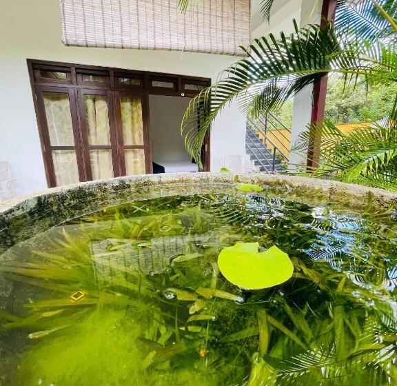 Семейный Номер, Shan Star Weligama