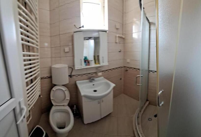 استودیوی استاندارد, Guest House Zoran