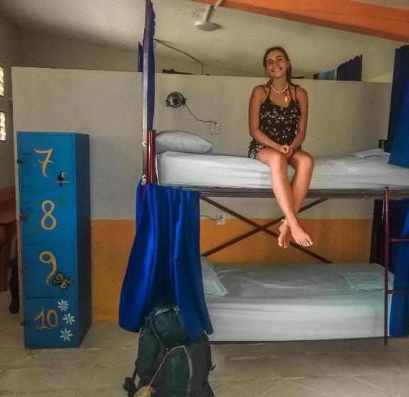 تختخواب در اتاق مشترک, Tower Bridge Hostel