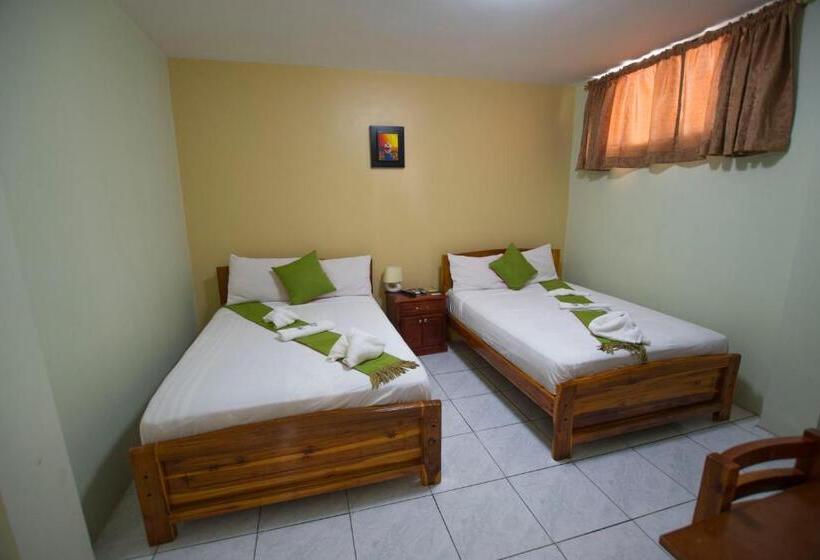 Номер Стандарт, Hostal Andry