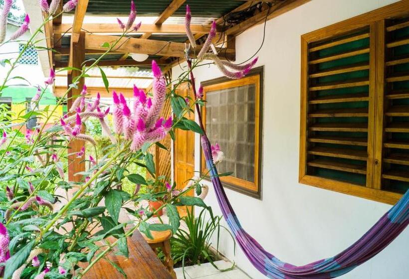 Номер Стандарт Совместная Ванная, Hostal Cecilia