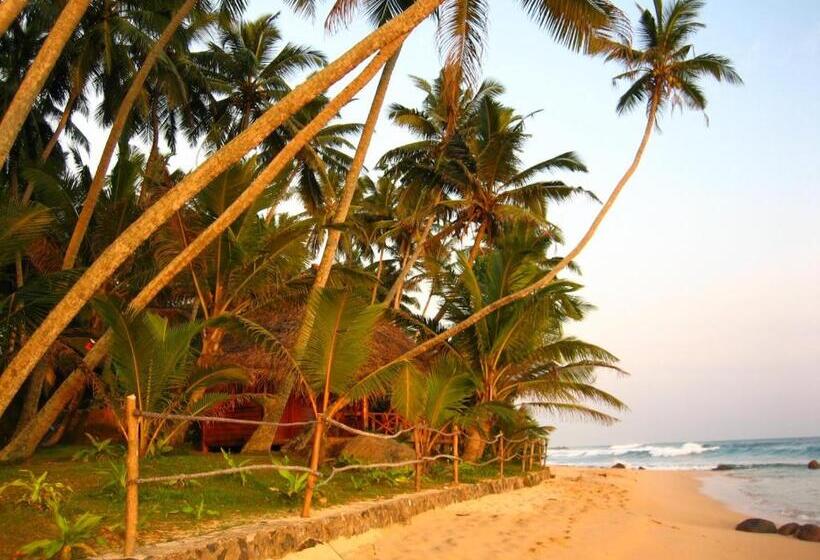 Standard Bungalow, Galawatta Beach Resort