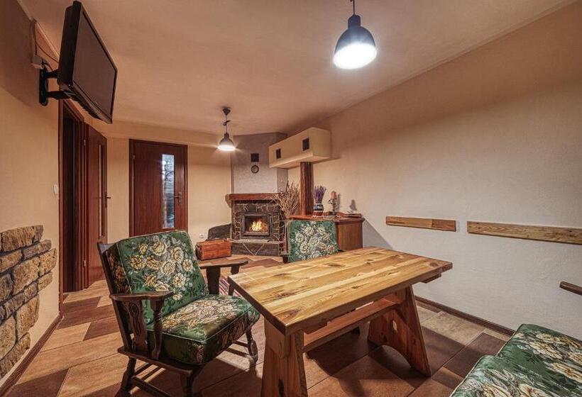 Standart Oda, Zet   Penzion & Wellness