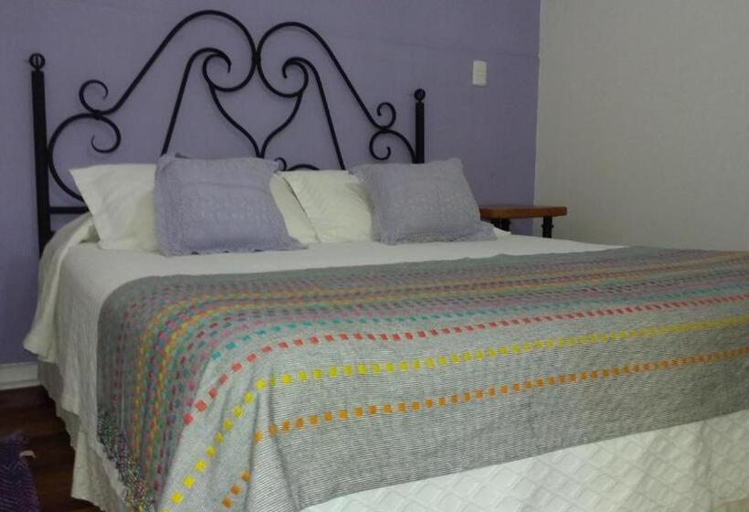 اتاق استاندارد, Hostal Petit Verdot