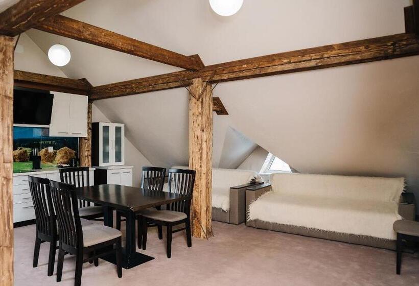 إستوديو قياسى, Marmaros Apart Hotel & Spa