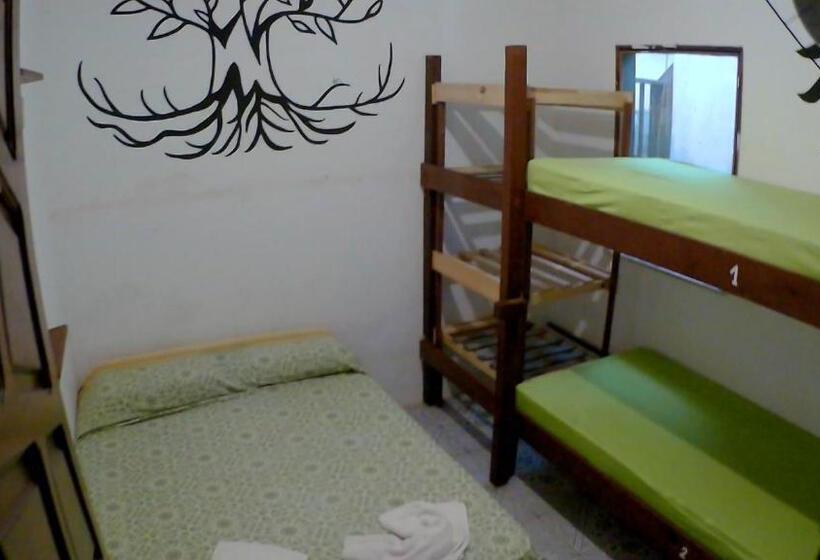 اتاق چهار تخته با دستشویی مشترک, Hostel Freedive Inn