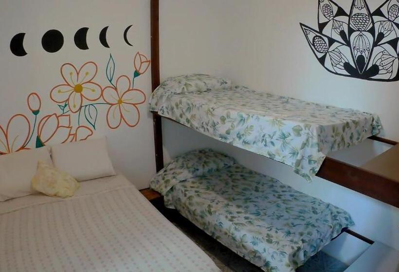 Economy Quadruple Room, Hostel Freedive Inn