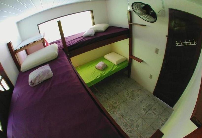 تختخواب در اتاق مشترک, Hostel Freedive Inn