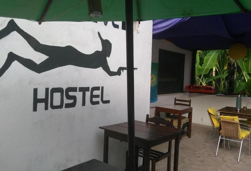 تختخواب در اتاق مشترک, Hostel Freedive Inn