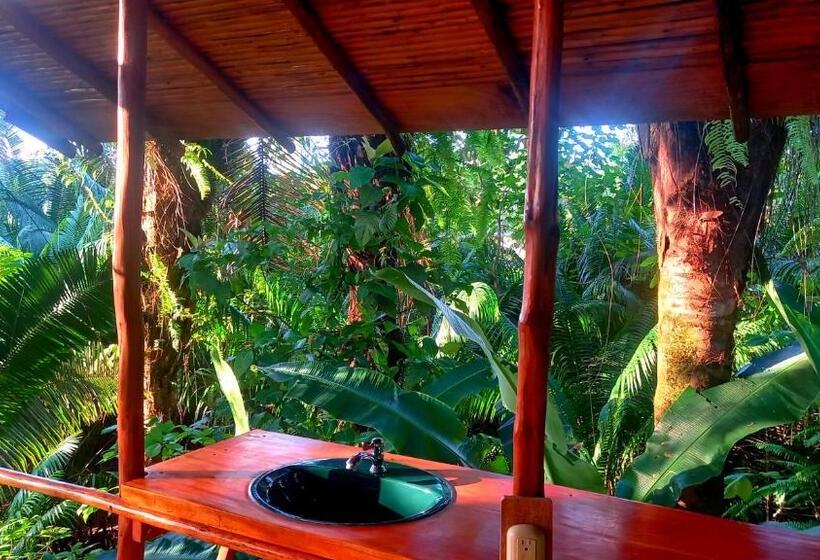 Номер Стандарт Вид на Море с Балконом, Encanto Lodge