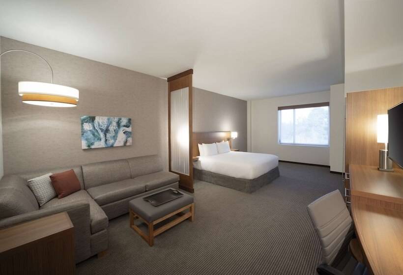 适合残疾人使用的标准间, Hyatt Place Sandestin At Grand Blvd