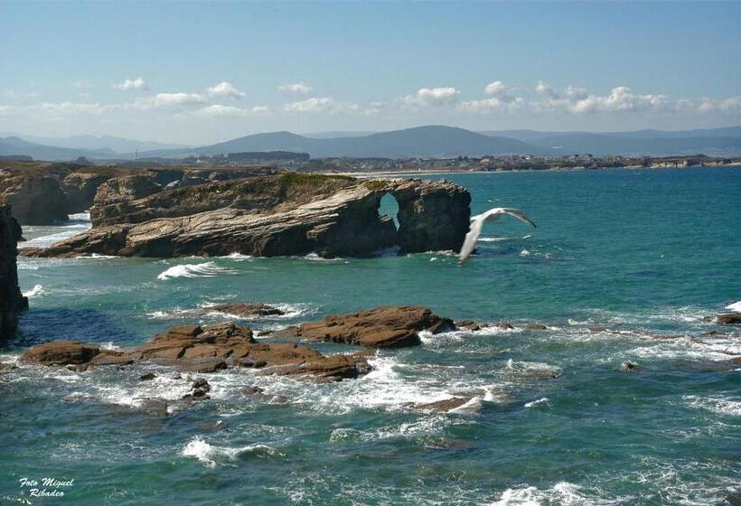 اتاق استاندارد, Santa Cruz