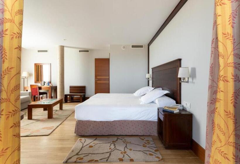 수피리어 룸, Parador De Soria