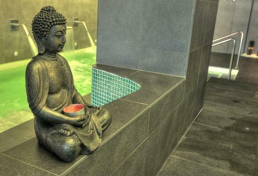 直达温泉标准间, Spa Sinagoga