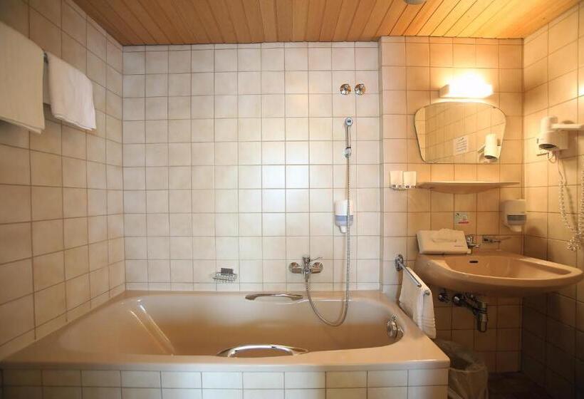 Номер Economy, Aktivhotel Weisser Hirsch