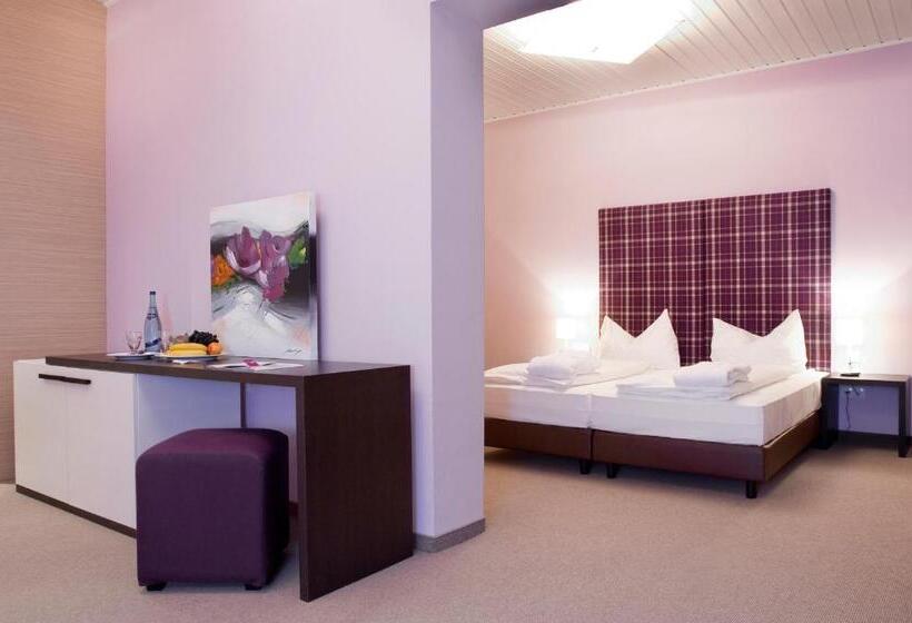 Номер Комфорт, Aktivhotel Weisser Hirsch
