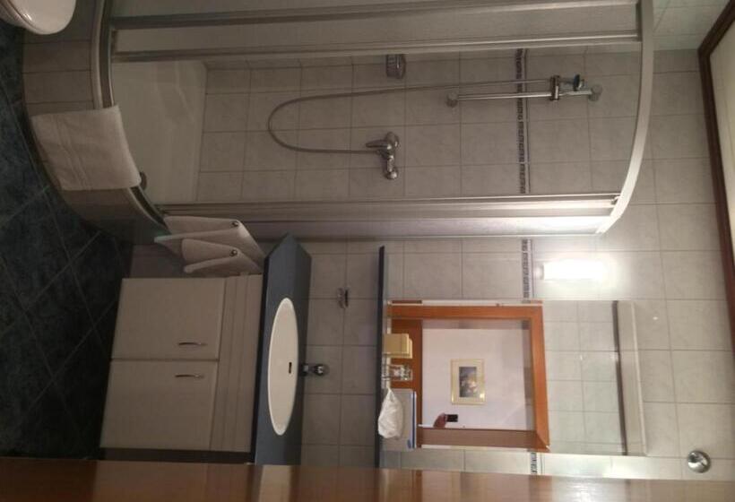 스탠다드 싱글 룸, Seehotel Schwan