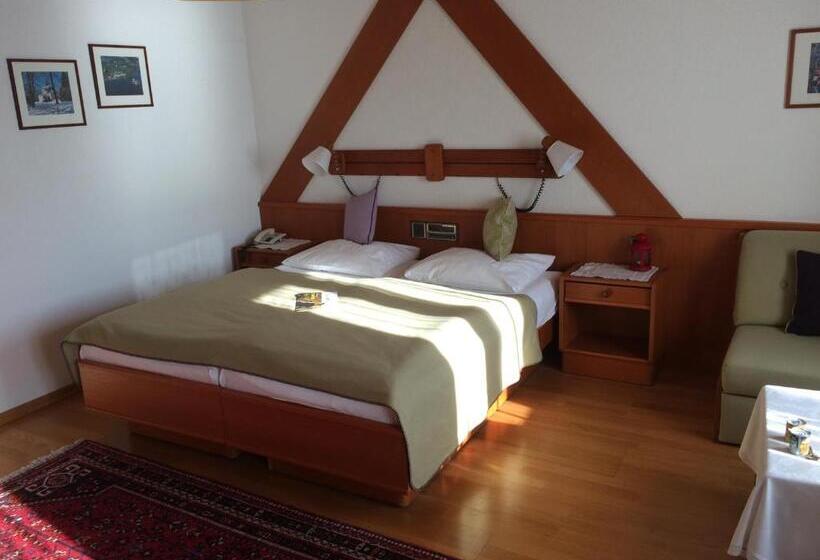 클래식 룸, Seehotel Schwan