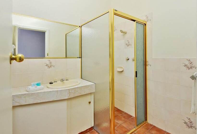 غرفة قياسية فردية, Mount Gambier International Motel
