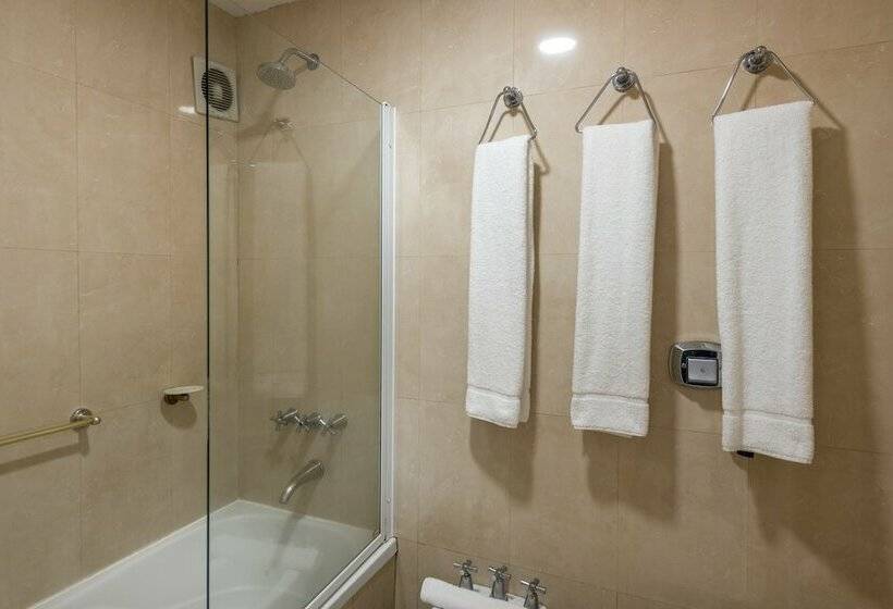 스탠다드 도시전망 룸, Exe Hotel Colón