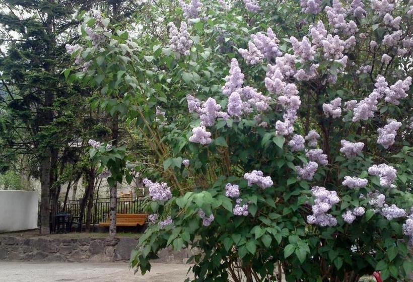 اتاق خانوادگی, Peralba