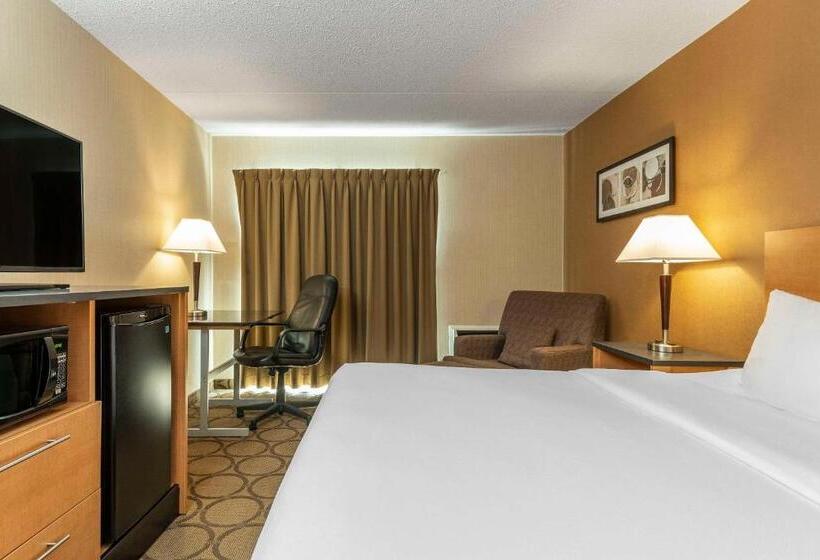 اتاق لوکس با تخت بزرگ, Comfort Inn